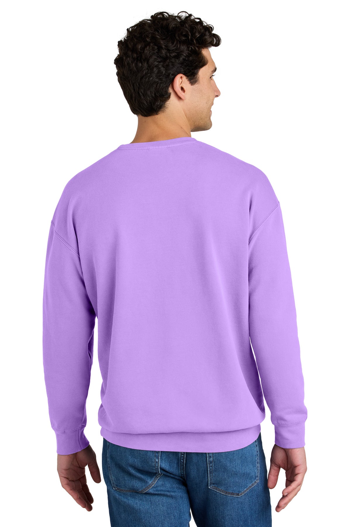 Comfort Colors Lightweight Crewneck Sweatshirt 1466