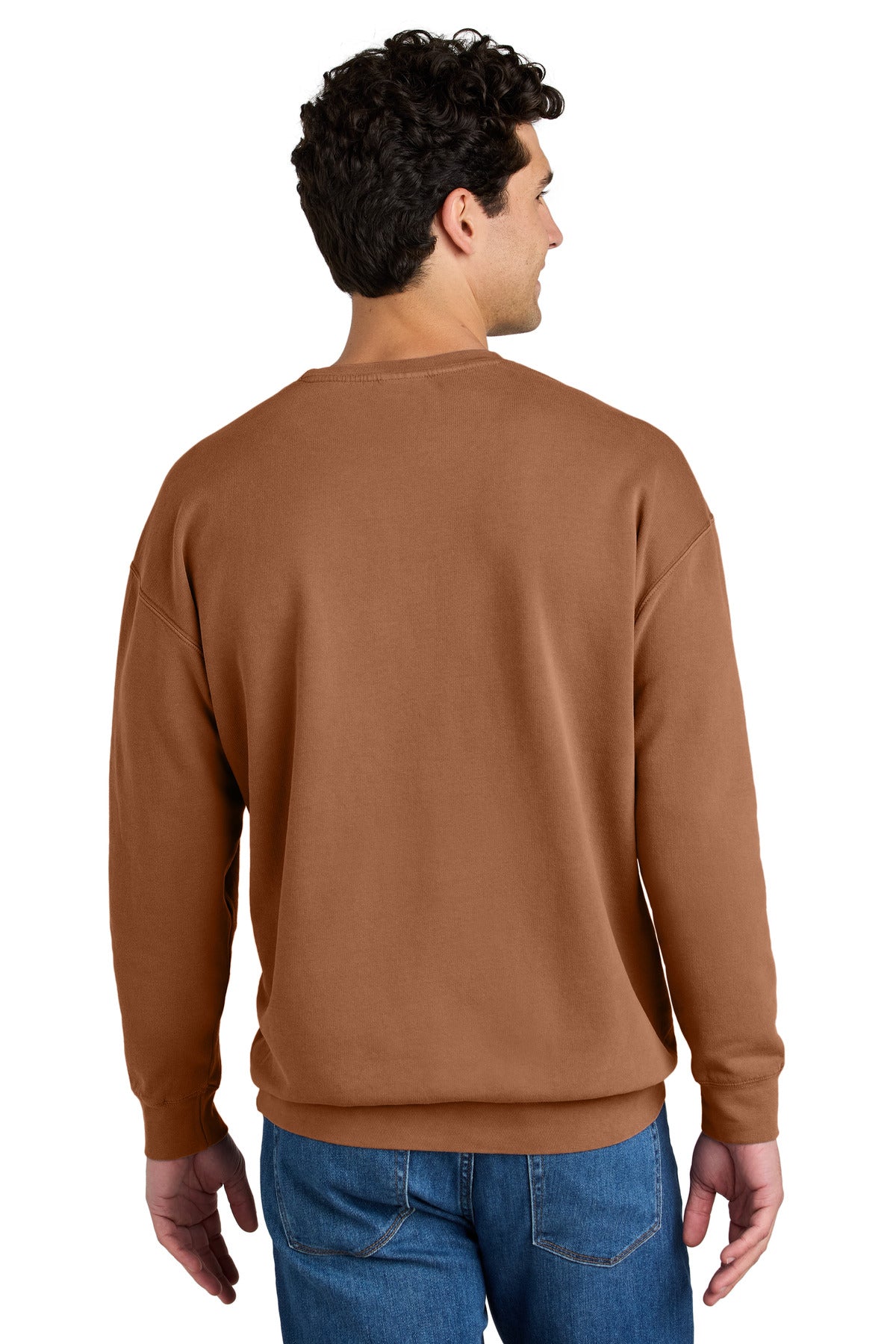 Comfort Colors Lightweight Crewneck Sweatshirt 1466