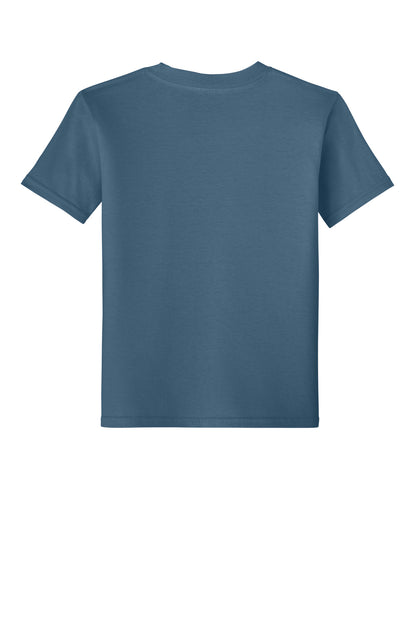 Youth Softstyle T-Shirt 64000B (Choose Your Design)
