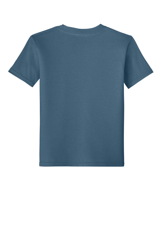 Youth Softstyle T-Shirt 64000B (Choose Your Design)