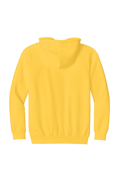 Youth Softstyle Midweight Fleece Hoodie SF500B (Choose Your Logo)